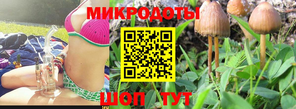 Псилоцибиновые грибы Cubensis Ярославль